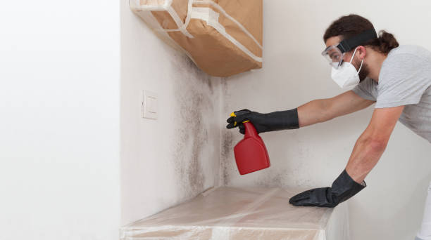 Professional Mold Remediation technician working in Lincroft, NJ