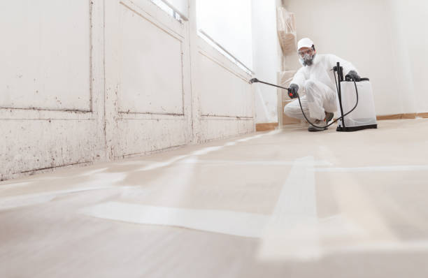 24/7 Emergency Mold Remediation experts in Lincroft, NJ