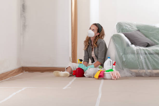 Reliable Mold Remediation contractor in Lincroft, NJ by Car Mold Remediation