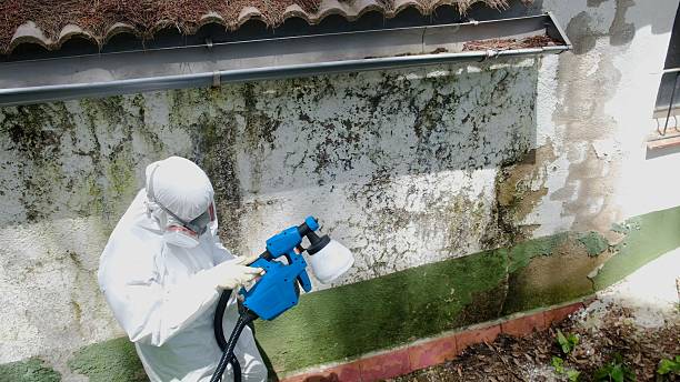 Top rated local Mold Remediation specialists in Lincroft, NJ